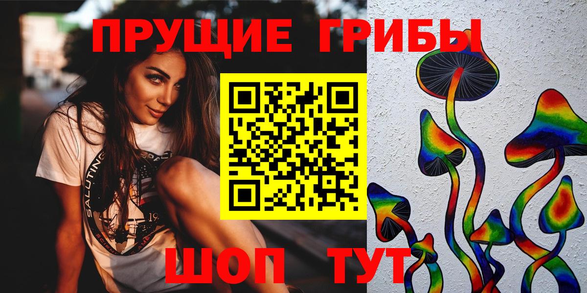 Галлюциногенные грибы Psilocybe  Вход с VPN  Богородск 