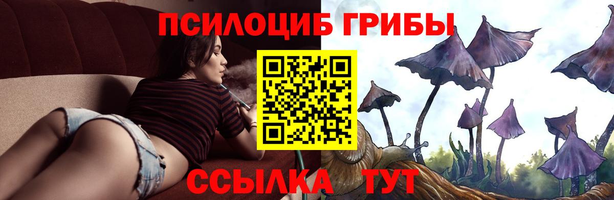 Псилоцибиновые грибы Cubensis Богородск